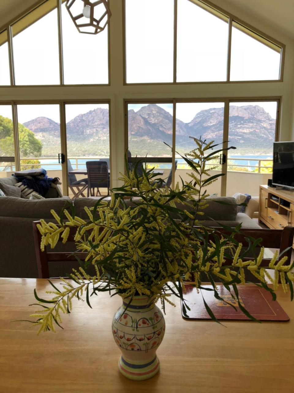 Freycinet Beach House 科尔斯湾 外观 照片